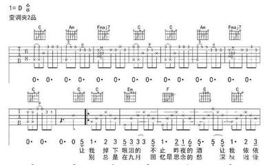 吉他谱初级教学,吉他谱初级教学视频全集