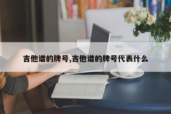 吉他谱的牌号,吉他谱的牌号代表什么